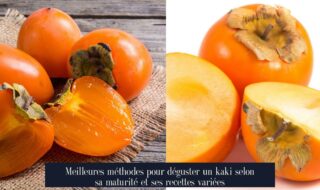 Meilleures méthodes pour déguster un kaki selon sa maturité et ses recettes variées