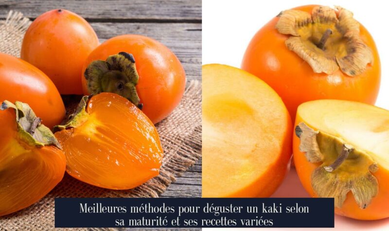 Meilleures méthodes pour déguster un kaki selon sa maturité et ses recettes variées