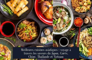Meilleures cuisines asiatiques : voyage à travers les saveurs du Japon, Corée, Chine, Thaïlande et Vietnam
