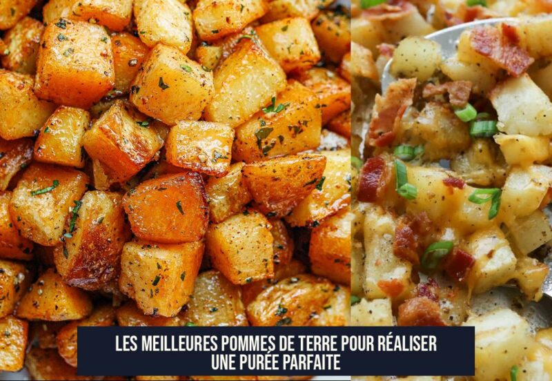 Les Meilleures Pommes de Terre pour Réaliser une Purée Parfaite