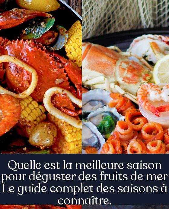 Quelle est la meilleure saison pour déguster des fruits de mer Le guide complet des saisons à connaître.