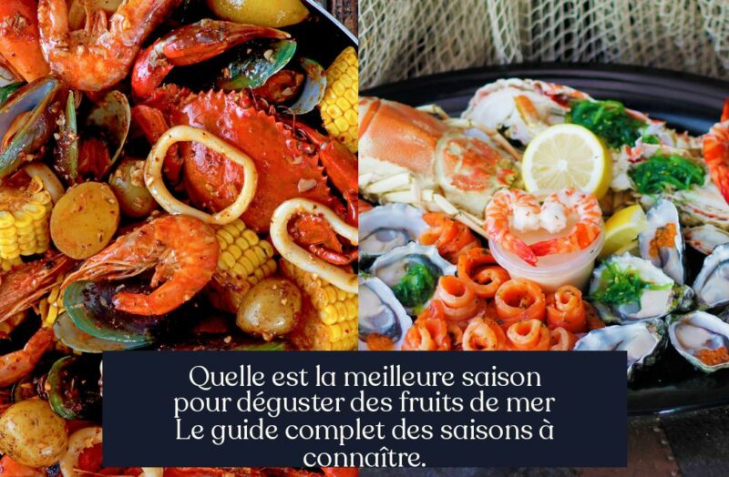 Quelle est la meilleure saison pour déguster des fruits de mer Le guide complet des saisons à connaître.