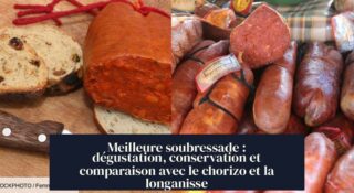 Meilleure soubressade : dégustation, conservation et comparaison avec le chorizo et la longanisse