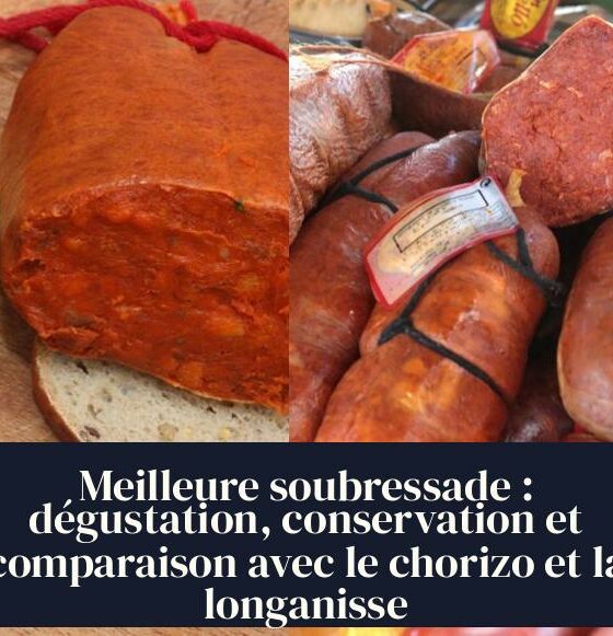 Meilleure soubressade : dégustation, conservation et comparaison avec le chorizo et la longanisse