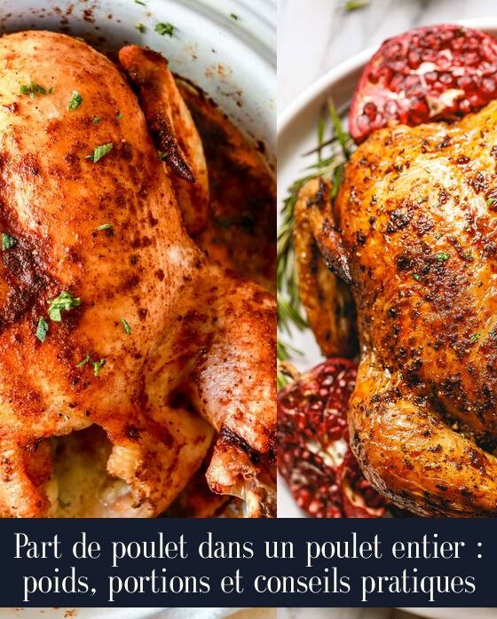Part de poulet dans un poulet entier : poids, portions et conseils pratiques