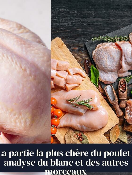 La partie la plus chère du poulet : analyse du blanc et des autres morceaux