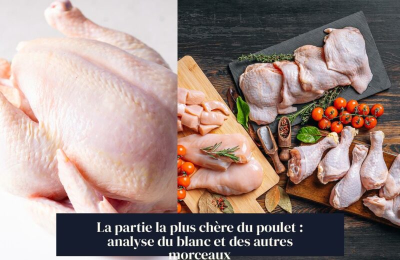 La partie la plus chère du poulet : analyse du blanc et des autres morceaux