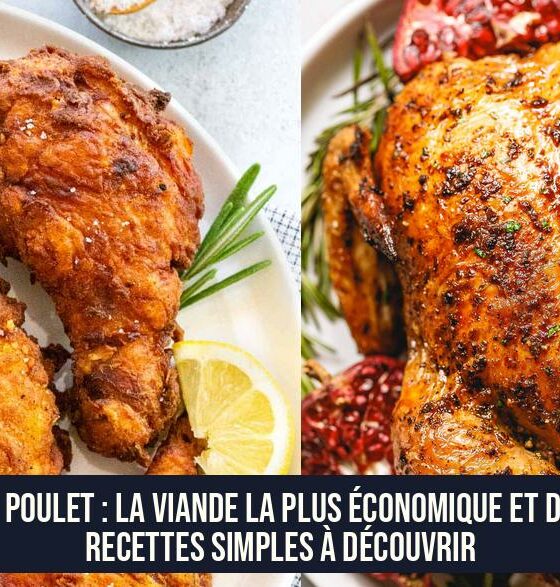 Le poulet : la viande la plus économique et des recettes simples à découvrir