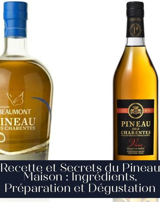 Recette et Secrets du Pineau Maison : Ingrédients, Préparation et Dégustation