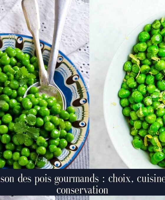 Saison des pois gourmands : choix, cuisine et conservation