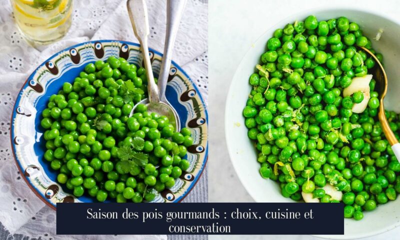 Saison des pois gourmands : choix, cuisine et conservation