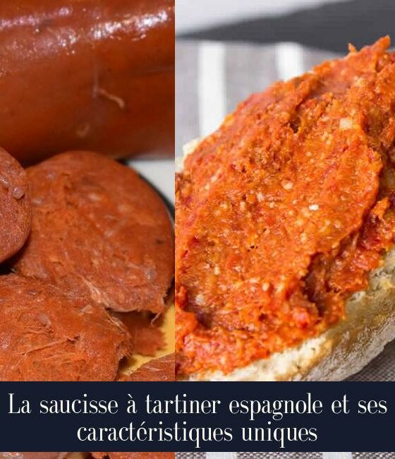 La saucisse à tartiner espagnole et ses caractéristiques uniques