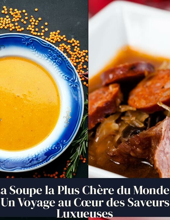 La Soupe la Plus Chère du Monde : Un Voyage au Cœur des Saveurs Luxueuses