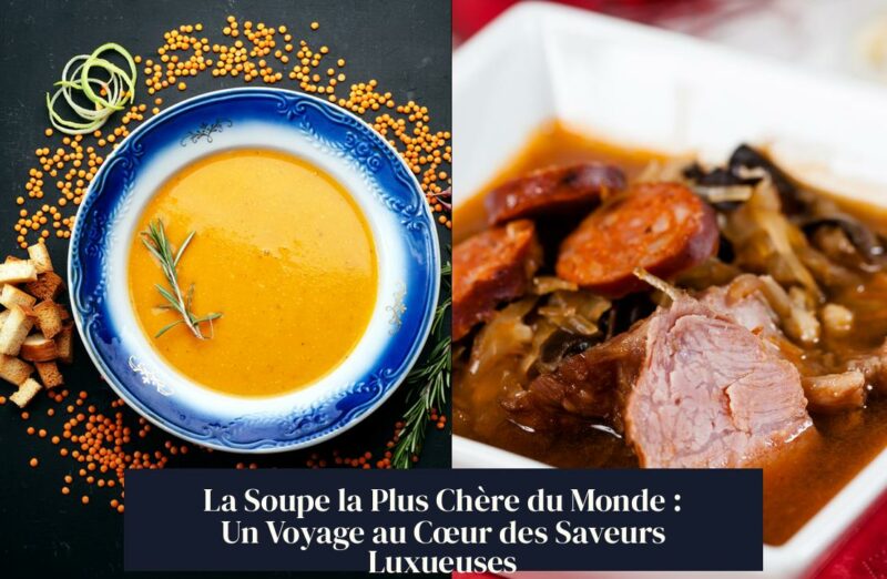 La Soupe la Plus Chère du Monde : Un Voyage au Cœur des Saveurs Luxueuses