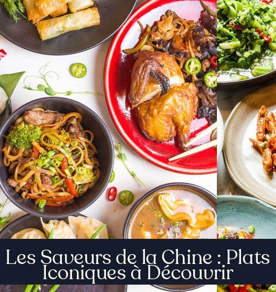 Les Saveurs de la Chine : Plats Iconiques à Découvrir