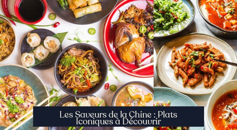 Les Saveurs de la Chine : Plats Iconiques à Découvrir