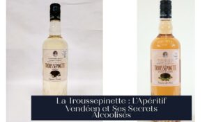 La Troussepinette : L'Apéritif Vendéen et Ses Secrets Alcoolisés