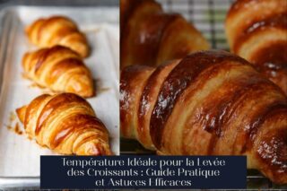 Température Idéale pour la Levée des Croissants : Guide Pratique et Astuces Efficaces