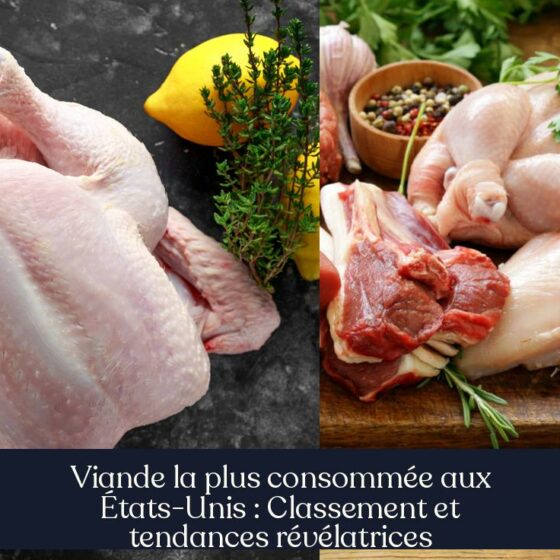 Viande la plus consommée aux États-Unis : Classement et tendances révélatrices