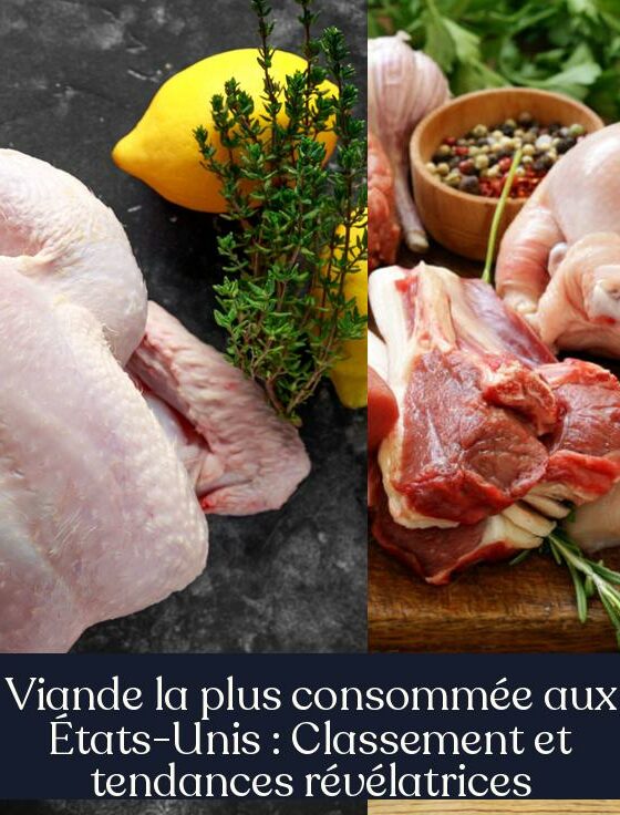 Viande la plus consommée aux États-Unis : Classement et tendances révélatrices
