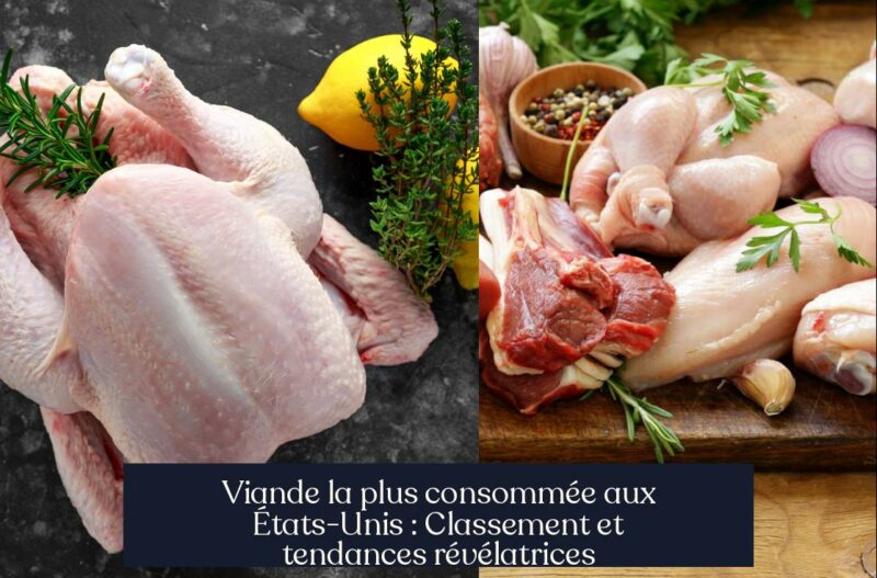 Viande la plus consommée aux États-Unis : Classement et tendances révélatrices