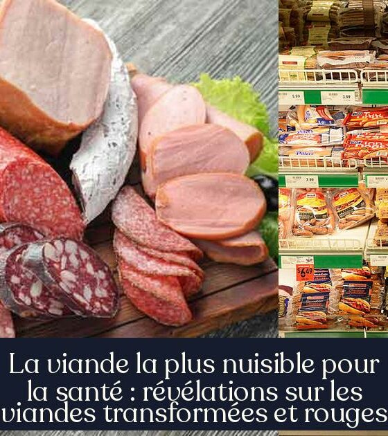 La viande la plus nuisible pour la santé : révélations sur les viandes transformées et rouges