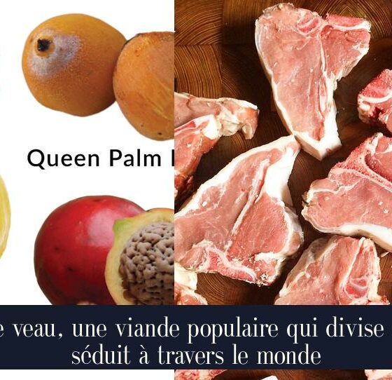 Le veau, une viande populaire qui divise et séduit à travers le monde