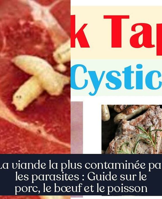 La viande la plus contaminée par les parasites : Guide sur le porc, le bœuf et le poisson