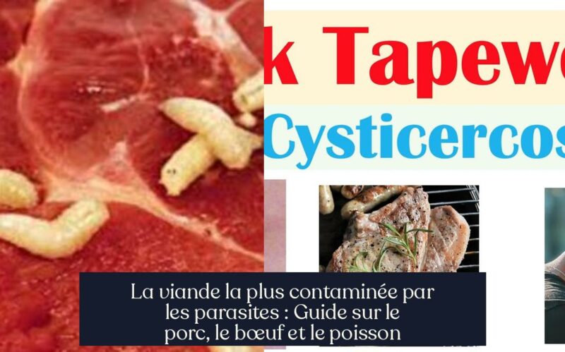 La viande la plus contaminée par les parasites : Guide sur le porc, le bœuf et le poisson