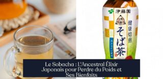 Le Sobacha : L'Ancestral Élixir Japonais pour Perdre du Poids et Ses Bienfaits