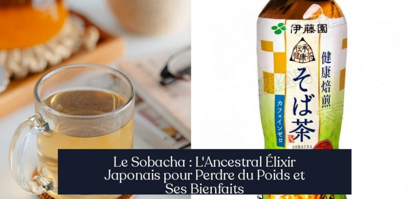 Le Sobacha : L'Ancestral Élixir Japonais pour Perdre du Poids et Ses Bienfaits