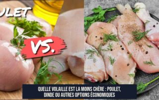 Quelle volaille est la moins chère : poulet, dinde ou autres options économiques