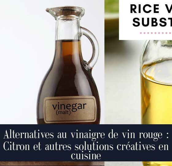 Alternatives au vinaigre de vin rouge : Citron et autres solutions créatives en cuisine