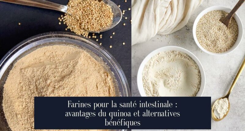 Farines pour la santé intestinale : avantages du quinoa et alternatives bénéfiques