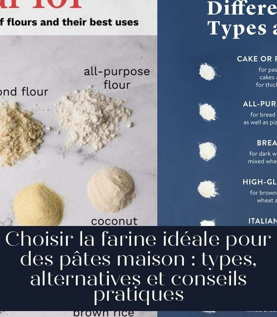 Choisir la farine idéale pour des pâtes maison : types, alternatives et conseils pratiques