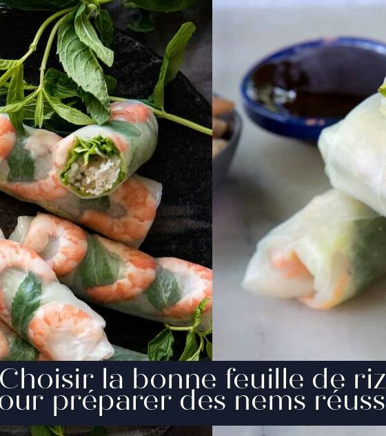 Choisir la bonne feuille de riz pour préparer des nems réussis