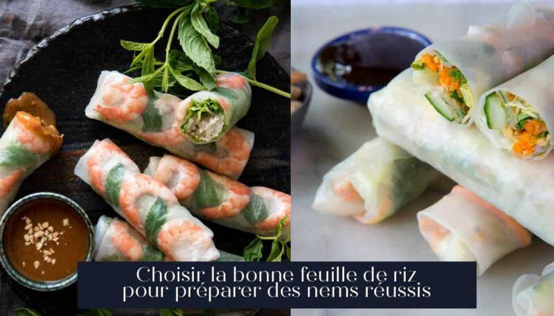 Choisir la bonne feuille de riz pour préparer des nems réussis