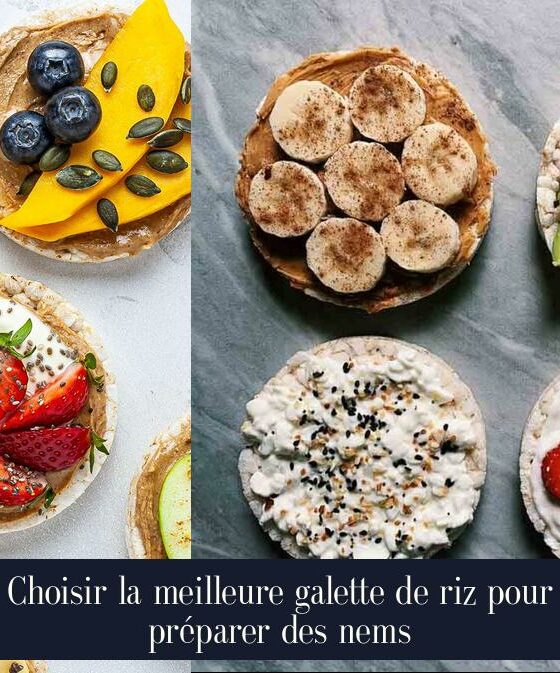 Choisir la meilleure galette de riz pour préparer des nems