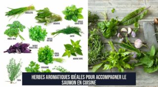Herbes aromatiques idéales pour accompagner le saumon en cuisine
