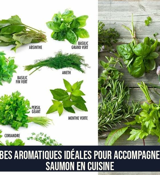 Herbes aromatiques idéales pour accompagner le saumon en cuisine