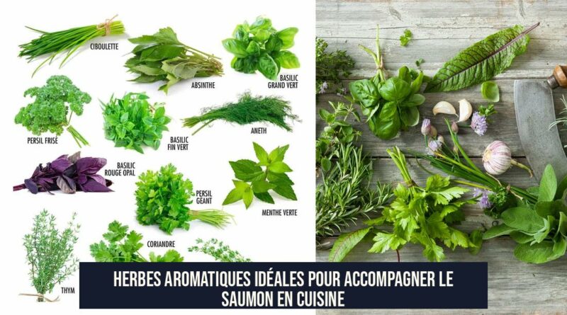 Herbes aromatiques idéales pour accompagner le saumon en cuisine
