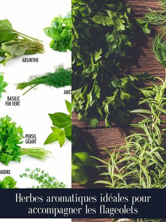 Herbes aromatiques idéales pour accompagner les flageolets