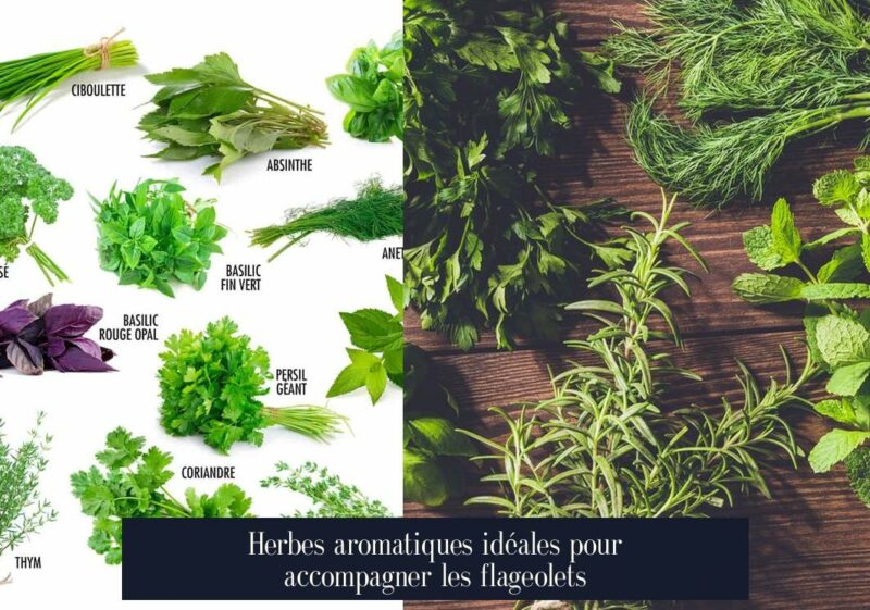 Herbes aromatiques idéales pour accompagner les flageolets