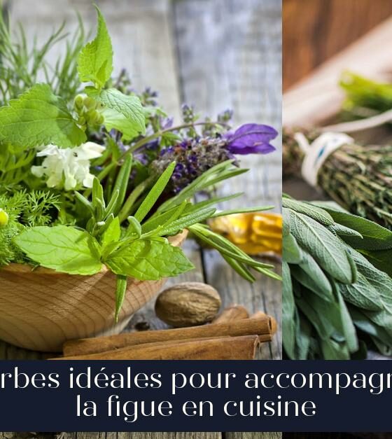 Herbes idéales pour accompagner la figue en cuisine