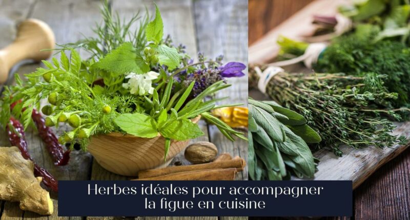 Herbes idéales pour accompagner la figue en cuisine