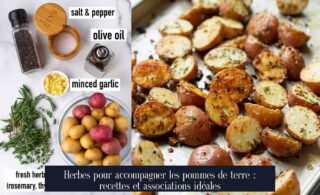 Herbes pour accompagner les pommes de terre : recettes et associations idéales