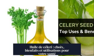 Huile de céleri : choix, bienfaits et utilisations pour votre santé
