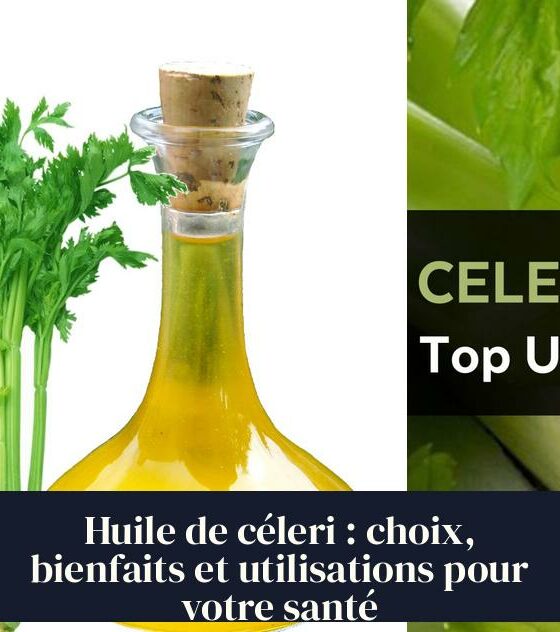 Huile de céleri : choix, bienfaits et utilisations pour votre santé