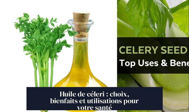 Huile de céleri : choix, bienfaits et utilisations pour votre santé
