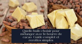 Quelle huile choisir pour mélanger avec le beurre de cacao Guide complet et recettes simples